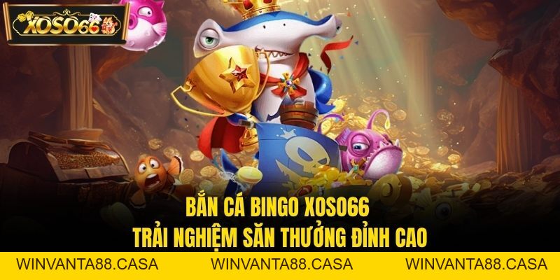 Bắn Cá Bingo XOSO66 – Trải Nghiệm Săn Thưởng Đỉnh Cao