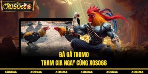 H19 yu🎖️ Trang Chủ H19.com Chính Thức 10/2026 Đăng Ký +190K