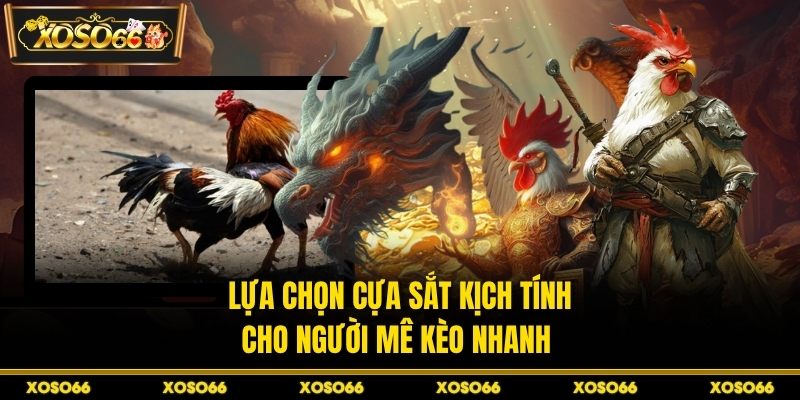 Đá Gà H19 - Trận Đấu Máu Lửa Với Nhịp Cược Cực Căng