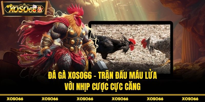 Xổ Số H19 - Sảnh Dự Đoán May Mắn Qua Từng Kỳ Quay