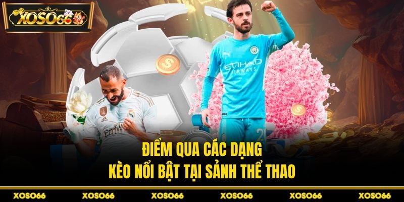 Thể Thao H19 - Điểm Hẹn Cược Sôi Động Cho Dân Chơi